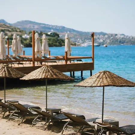 Hotell Lavinya 3*