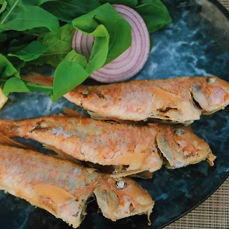 Lavinya Göltürkbükü