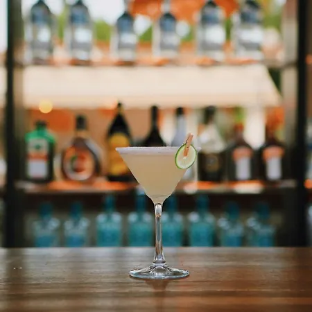 Lavinya ゴルトゥルブク